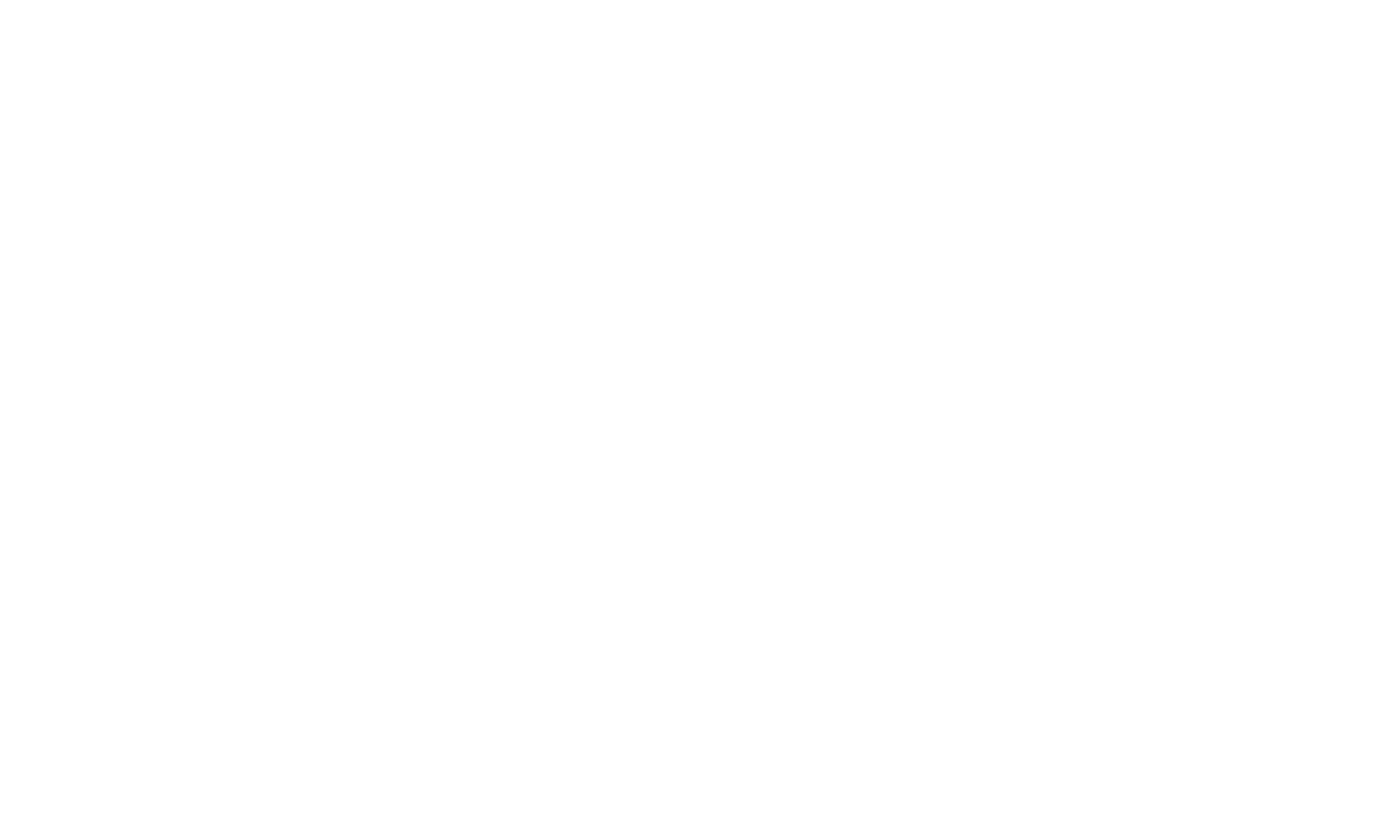 Logo Branco